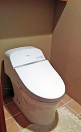 skygardenroom_toilet